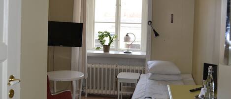 A narrow hotel room with a bed, a small table, a chair, a radiator, a window with curtains, a television mounted on the wall, and a plant on the windowsill.