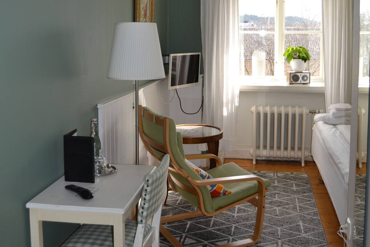 A room with a dining table, chairs, a TV, a radiator, a window with curtains, and a view outside.