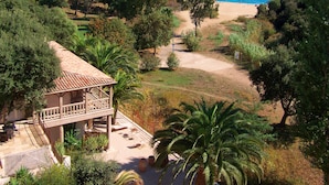 A coastal property with a patio, palm trees, and a view of the beach. - Le clos des sept palmiers (Cavalaire-sur-Mer)