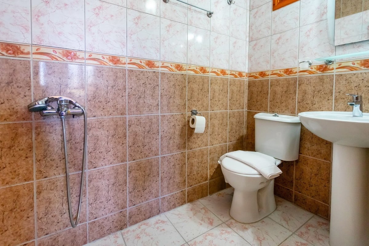 standard triple room | bathroom | shower, hair dryer, slippers, towels