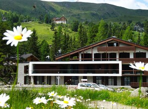 Exterior - Apparthotel Silbersee (Stadl-Predlitz)