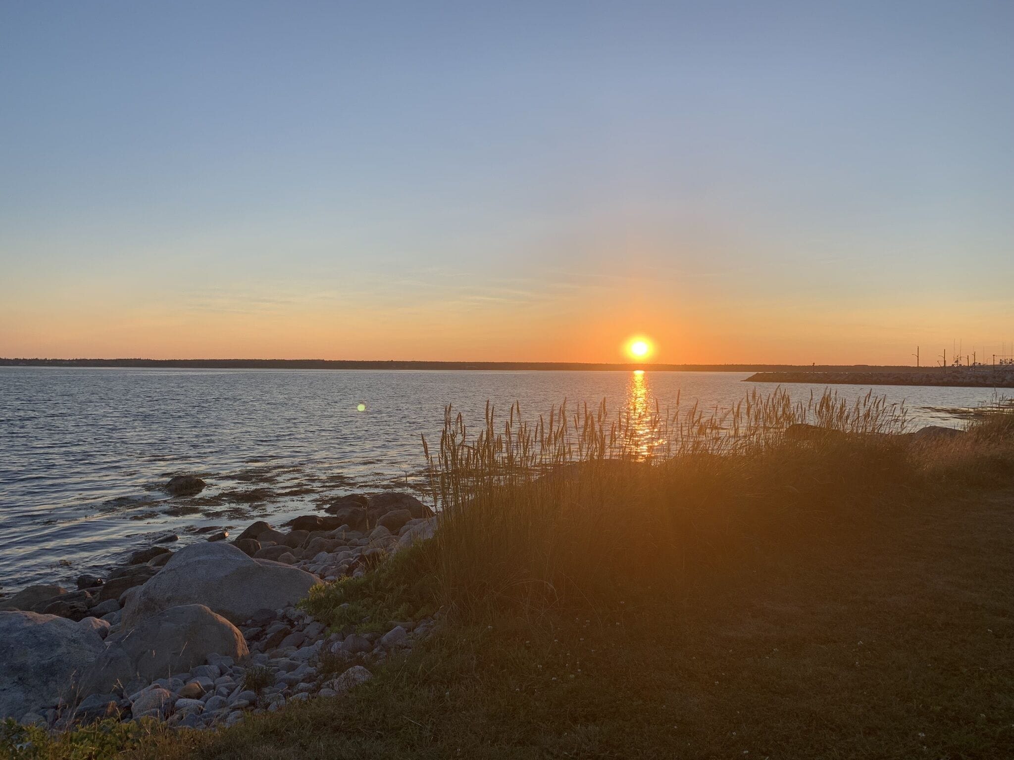 Eksteriør