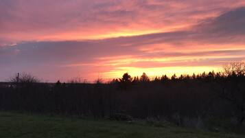 A sunset over a field with a line of trees in the distance.