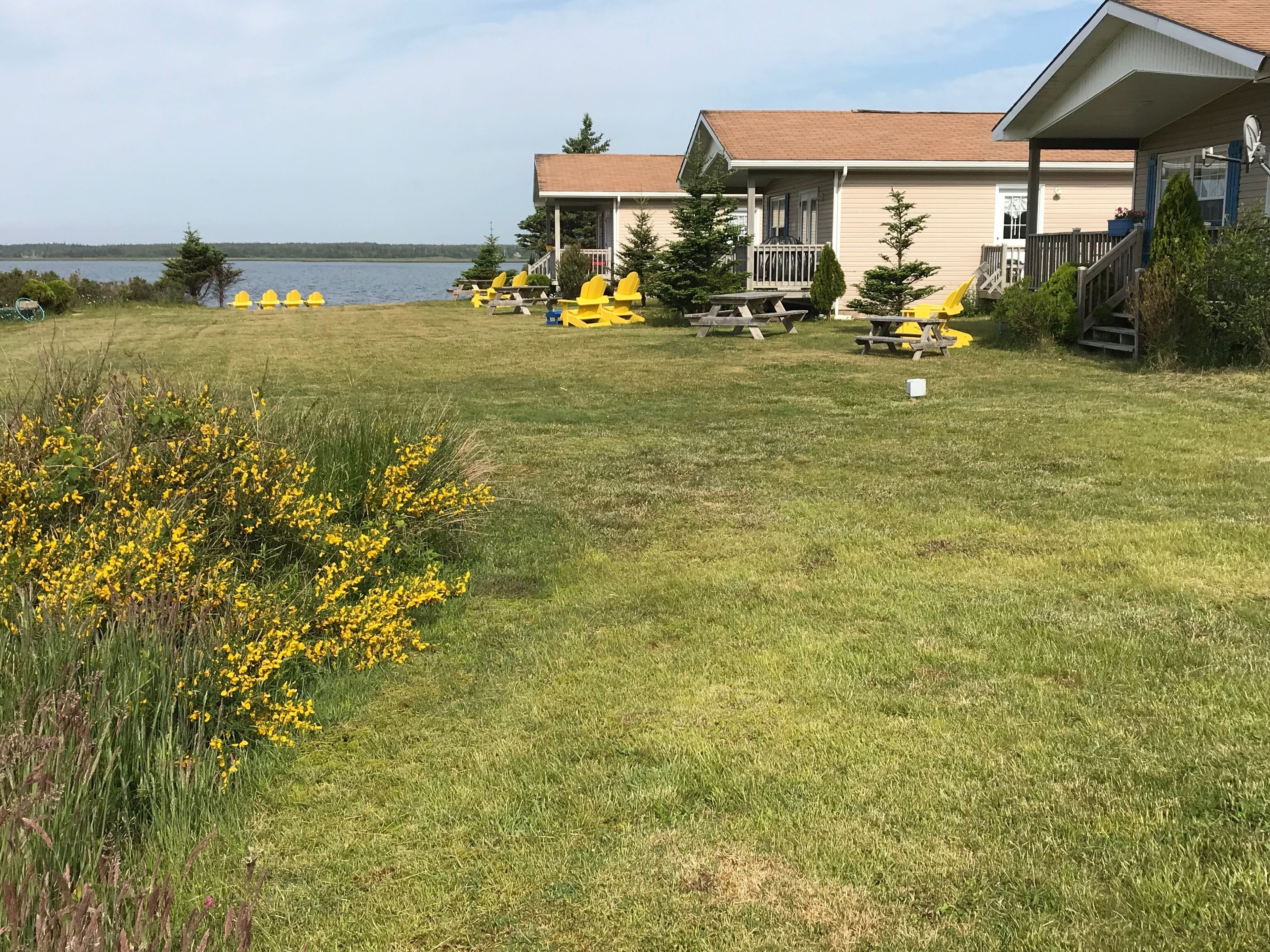 A grassy area with yellow chairs and picnic tables, a building with a porch, and a lake in the background.