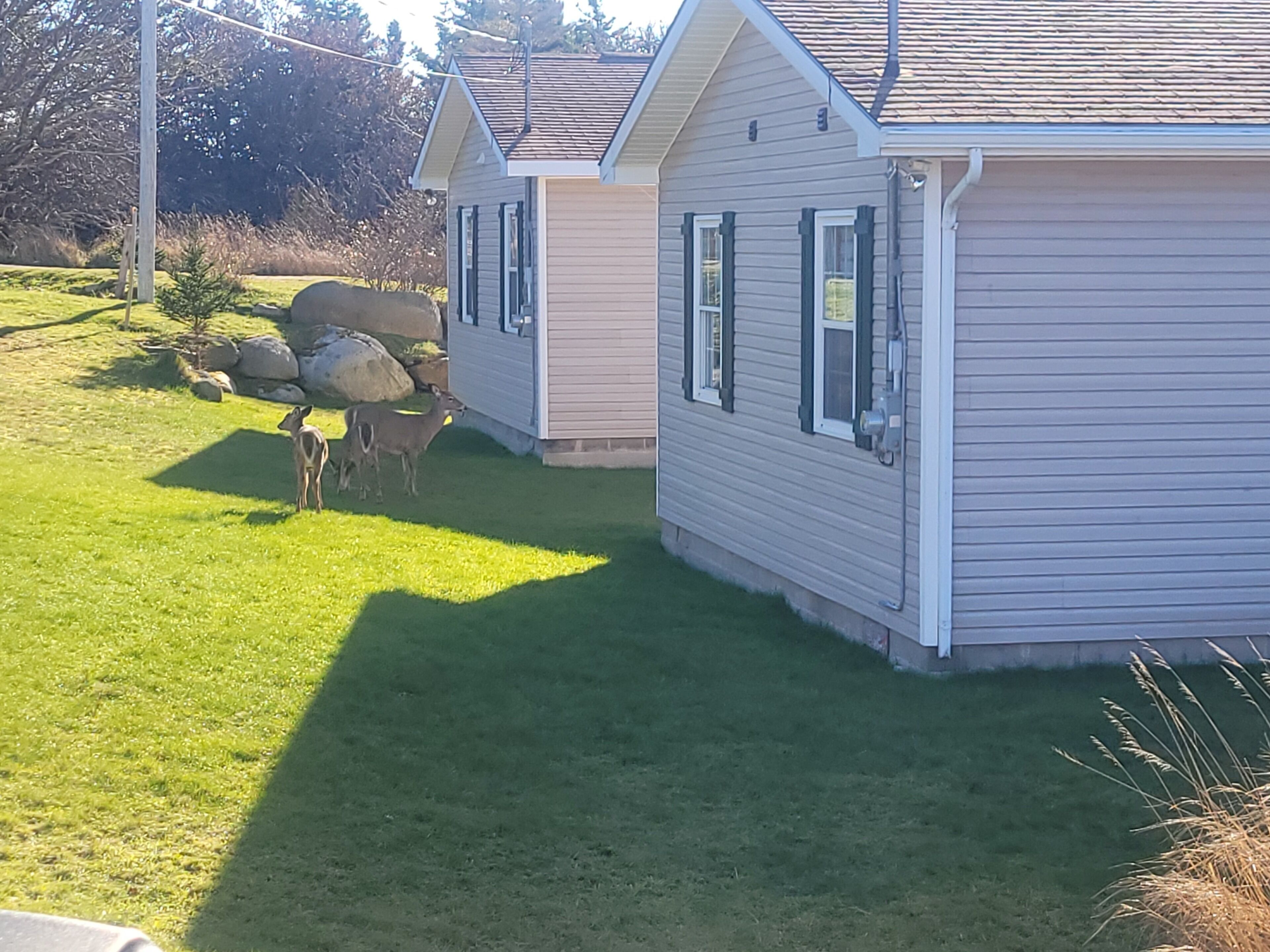A house with a well-maintained lawn and a small garden area.