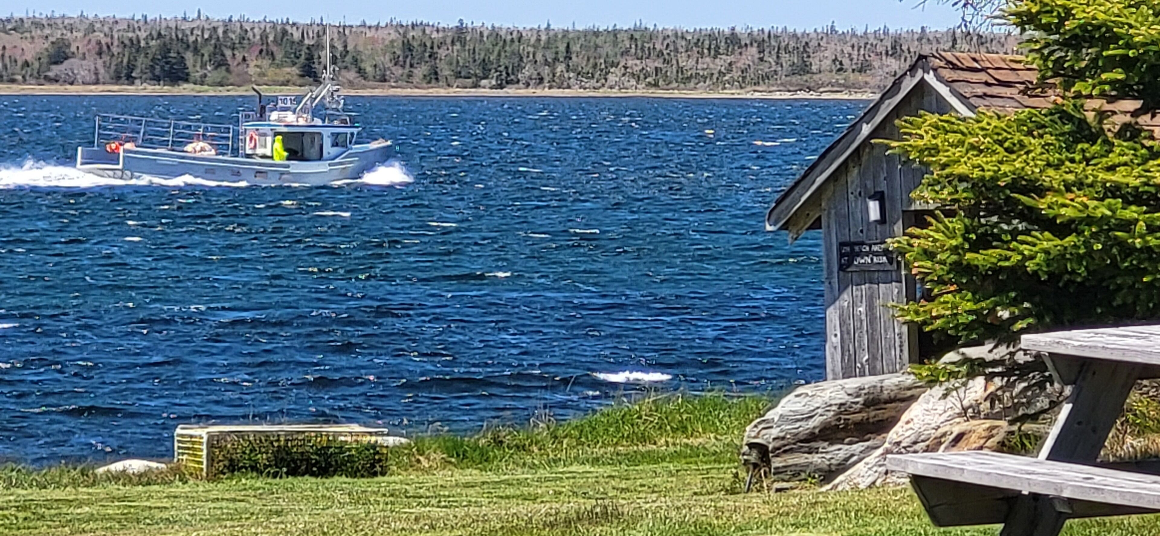 A boat on a body of water with a wooden structure and a picnic table in the foreground.