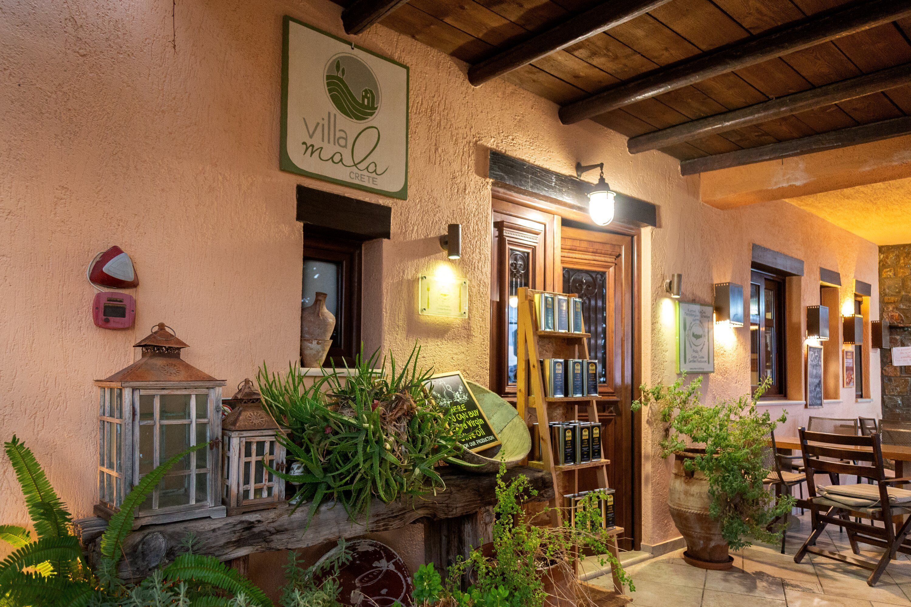 An outdoor seating area with rustic wooden furniture, a bookshelf, and potted plants.