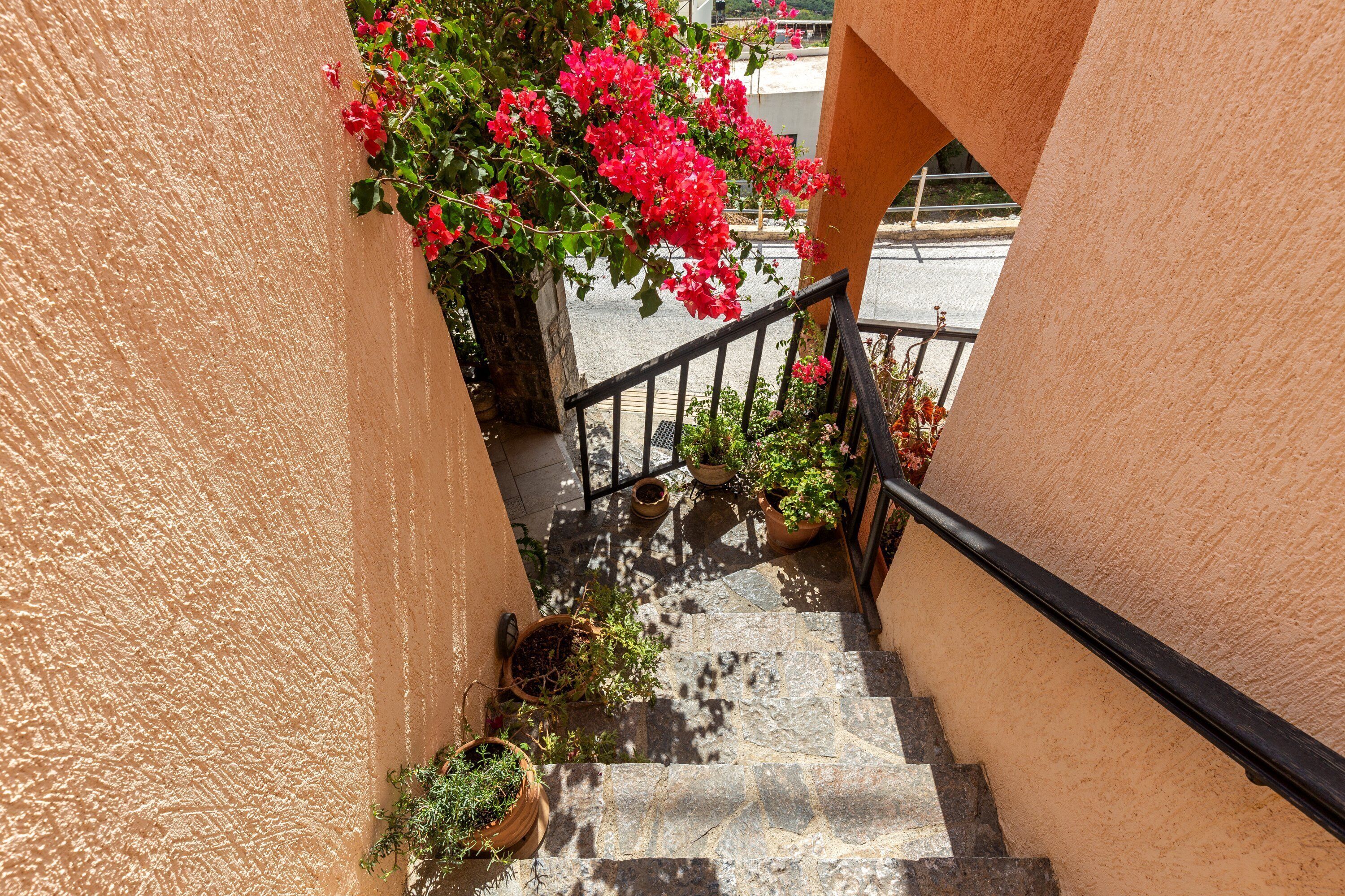 A staircase with stone steps, potted plants, and a railing.
