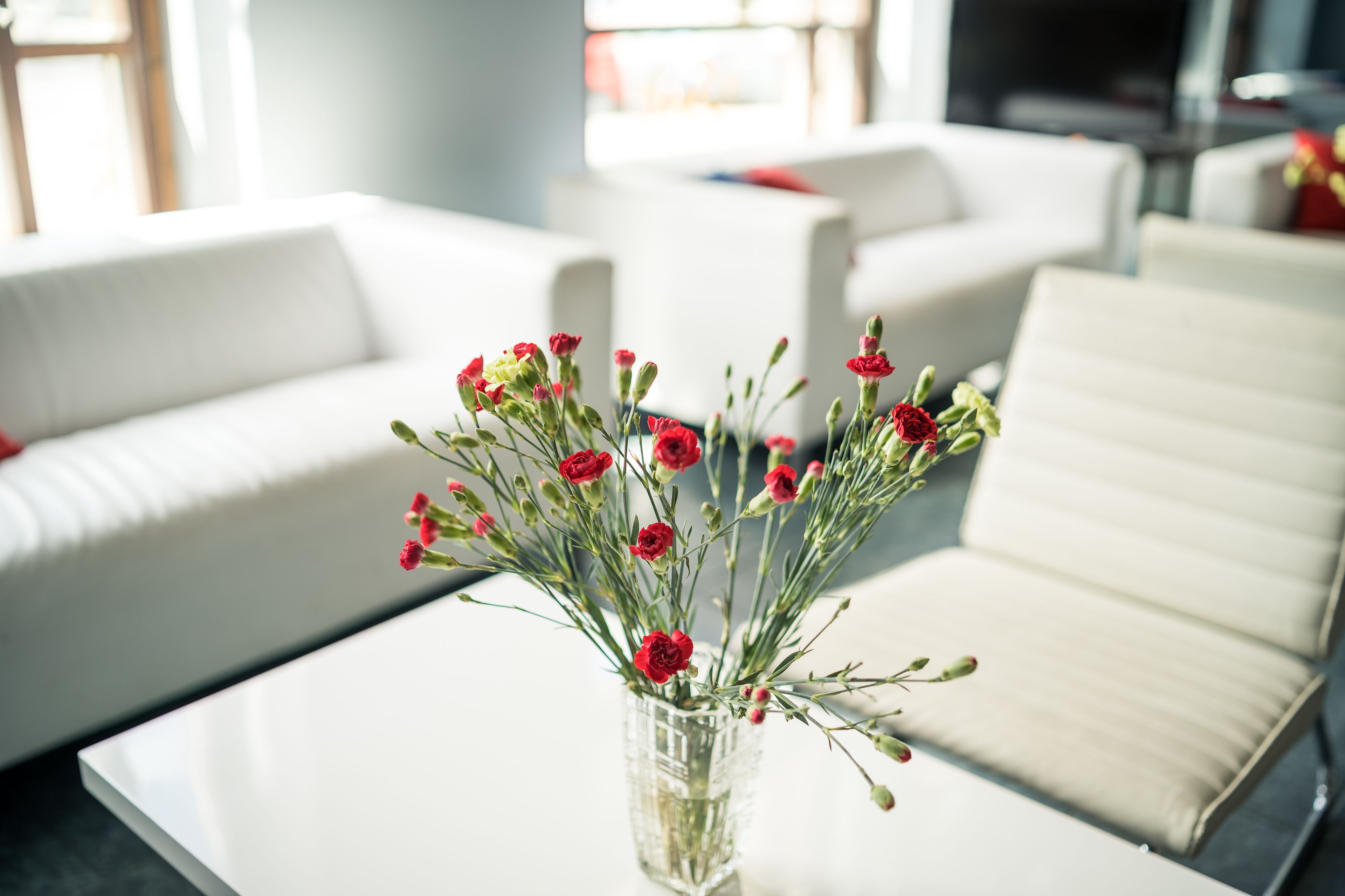 A white vase with red flowers on a table in a modern living room with white sofas.