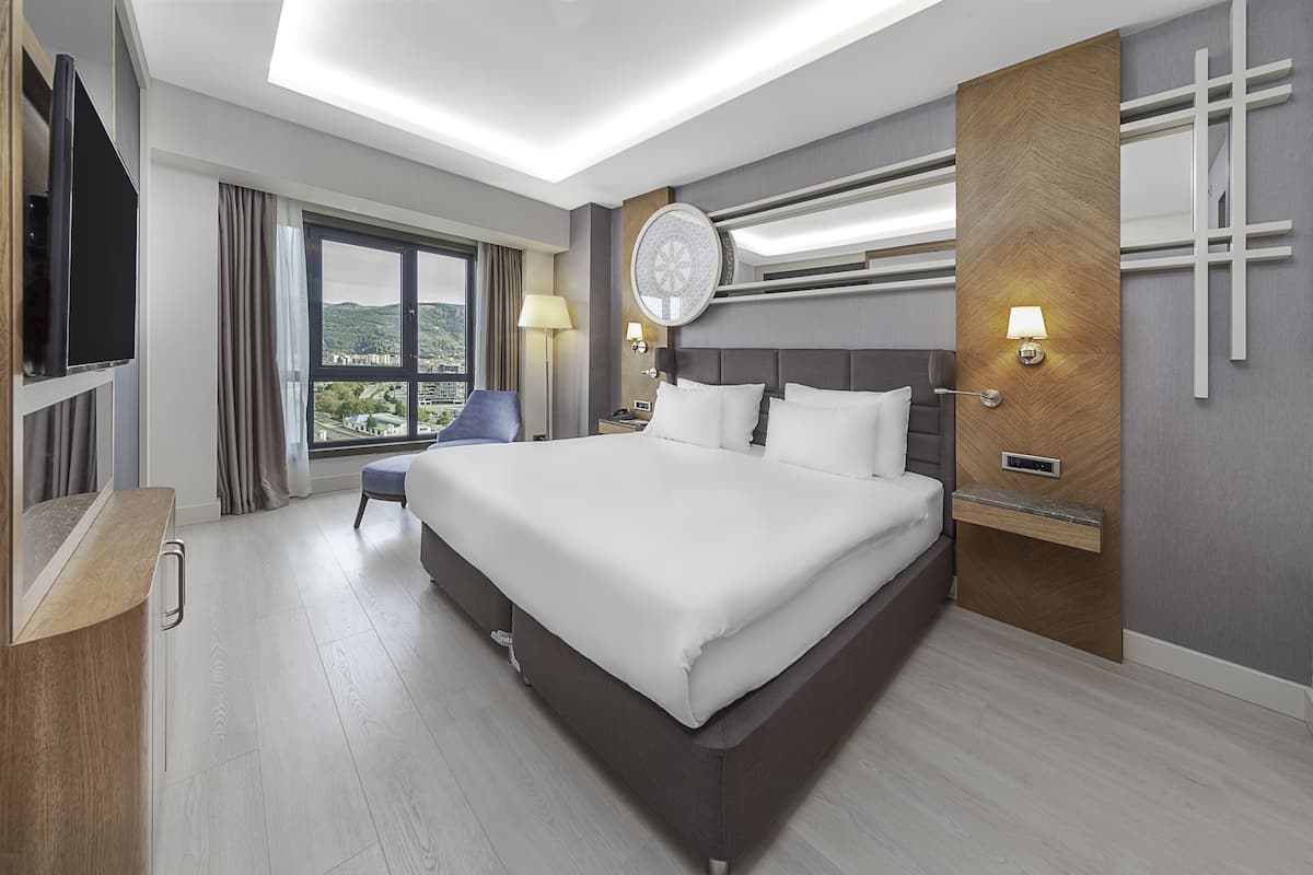 Junior Suite | 1 bedroom, minibar, in-room safe, desk