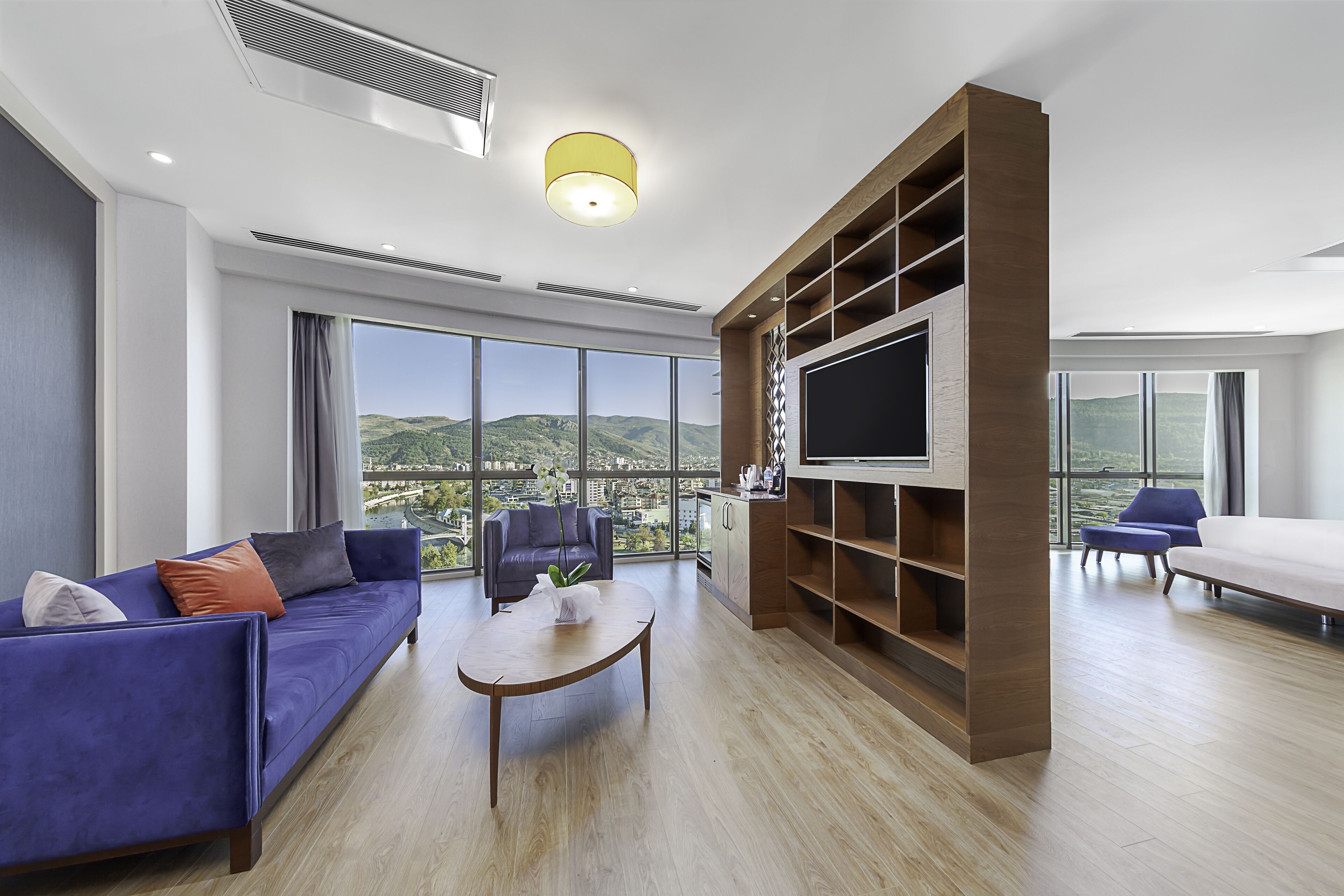 deluxe suite | mountain view