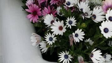 A white planter with a variety of flowers including pink, white, and yellow blooms.