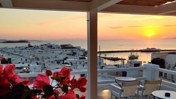 A terrace with a view of a coastal town at sunset, featuring white buildings, a marina, and red flowers. - Hotel Lefteris (Mykonos)