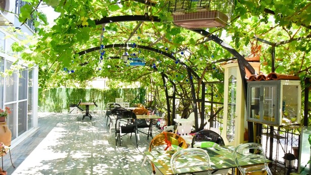An indoor garden with tables and chairs, surrounded by lush green foliage and a glass enclosure. - Balım Sultany (Cesme)