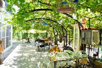 Balım Sultany