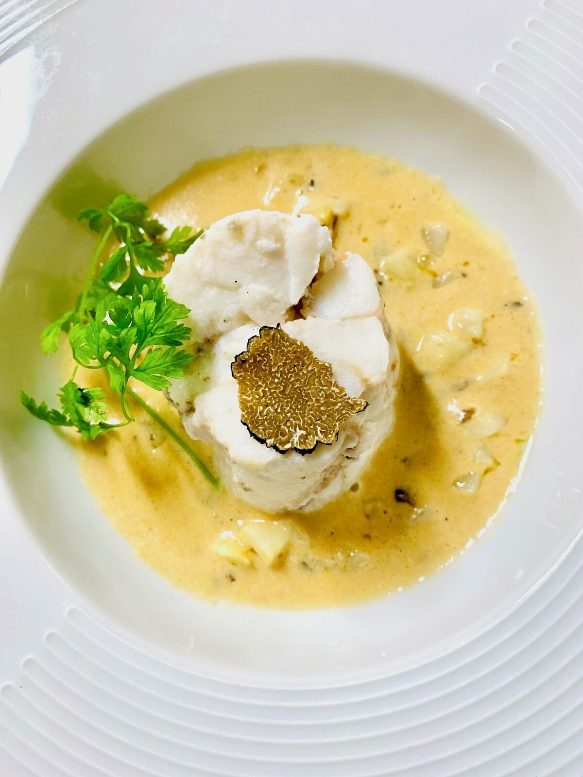 A white plate with a creamy sauce, a piece of white food, and a garnish.