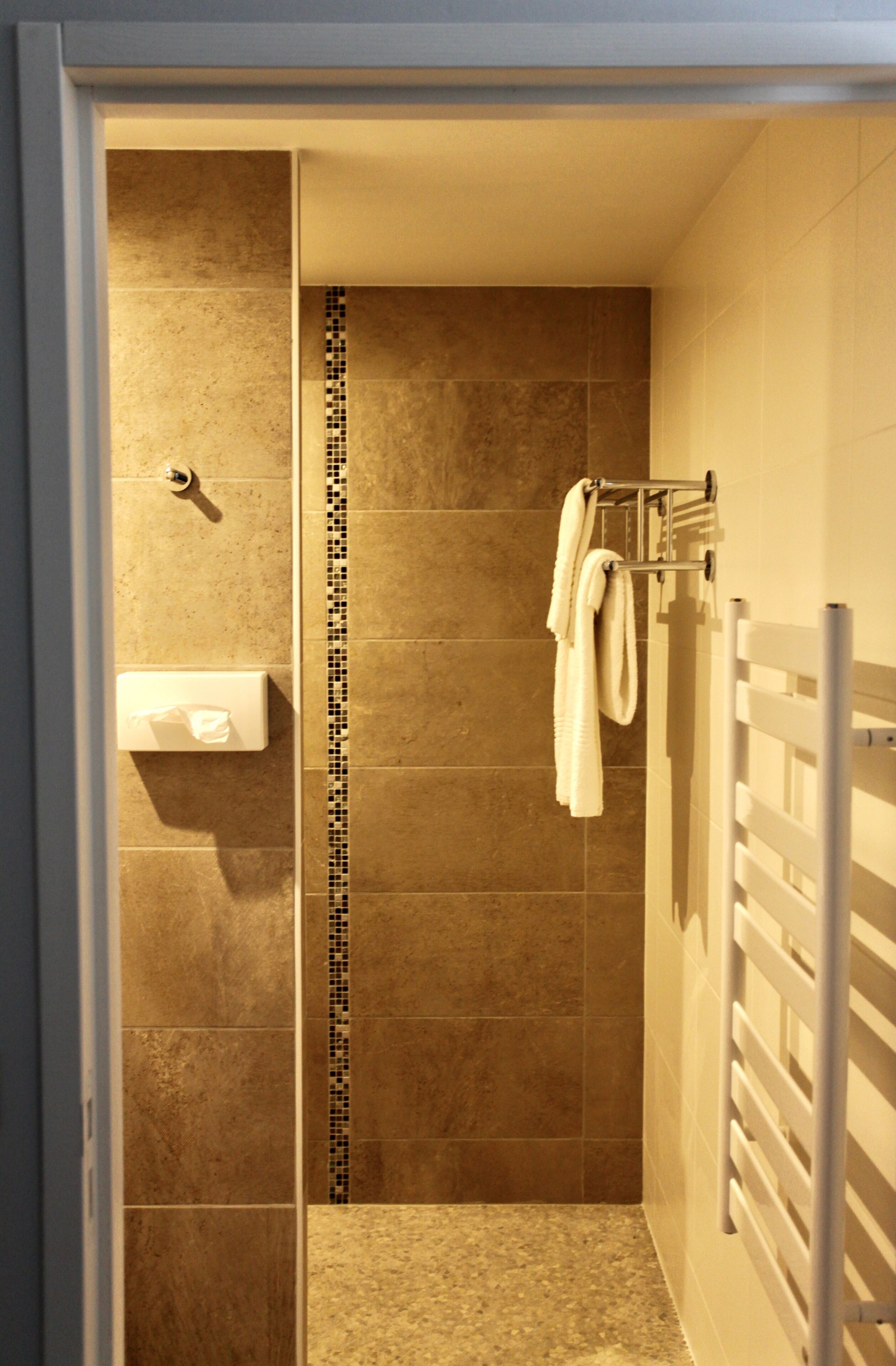 Un baño con ducha, un perchero para toallas y un dispensador de papel higiénico.