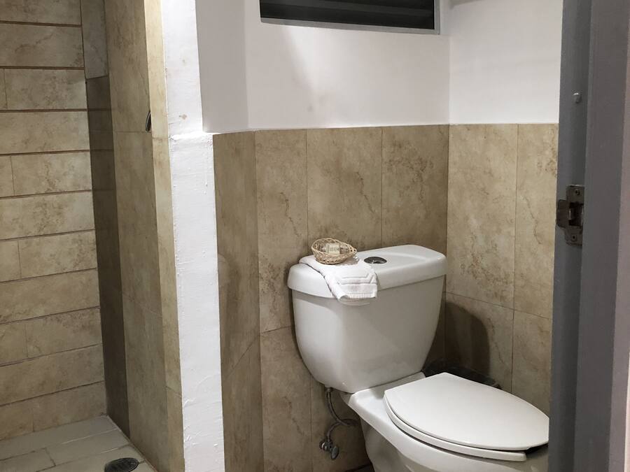 A bathroom with a toilet, a shower area, and a towel rack.