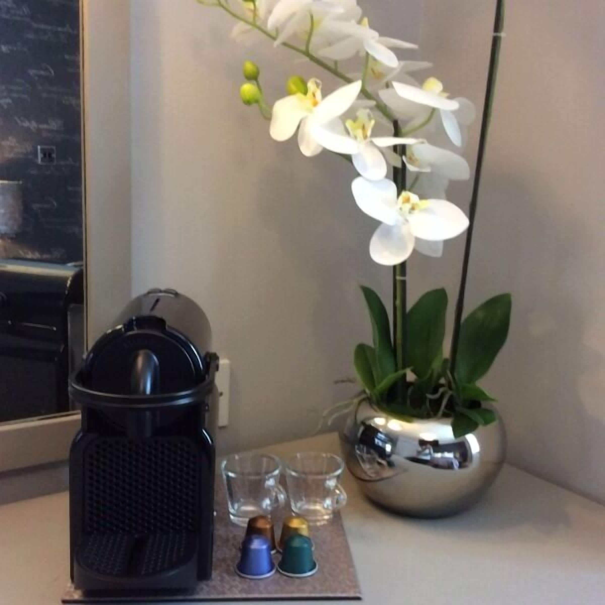 A kitchen counter with a coffee maker, a potted orchid, and a set of shot glasses.