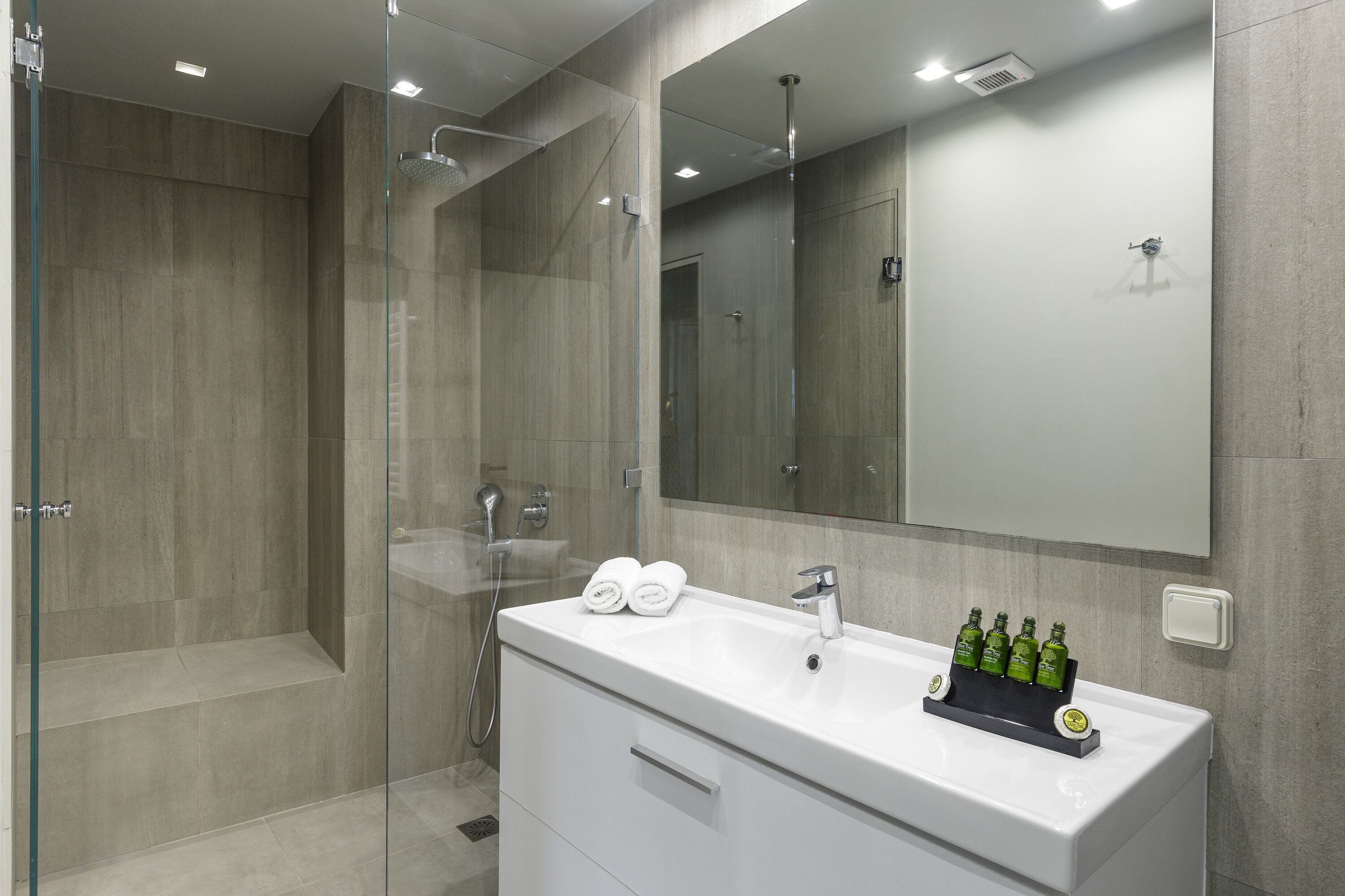 basic suite | bathroom | shower, free toiletries, hair dryer, towels