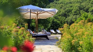 A pathway leading to a pool area with lounge chairs and umbrellas. - Le Lappe (Cavriglia)