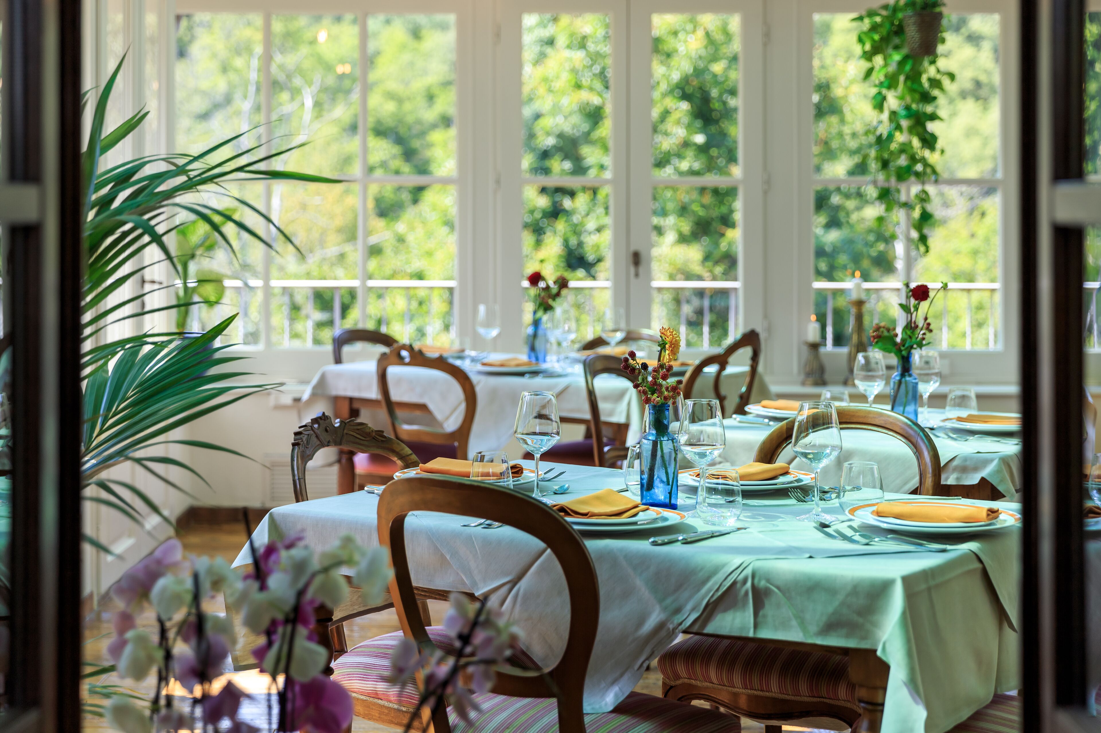 A dining area with tables set for a meal, large windows, and potted plants.