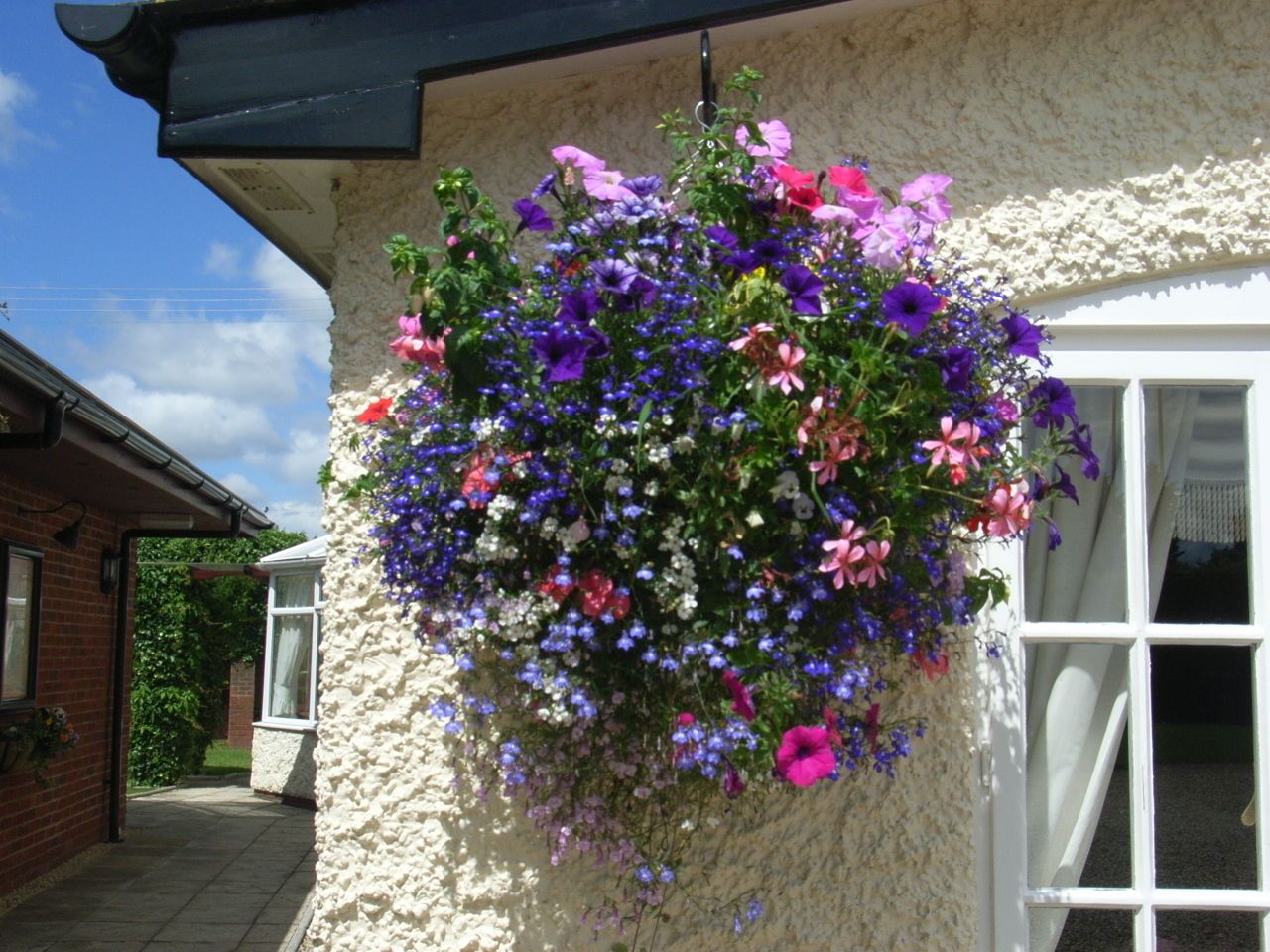 Een bloembak met diverse bloemen hangt voor een wit gebouw met een raam.