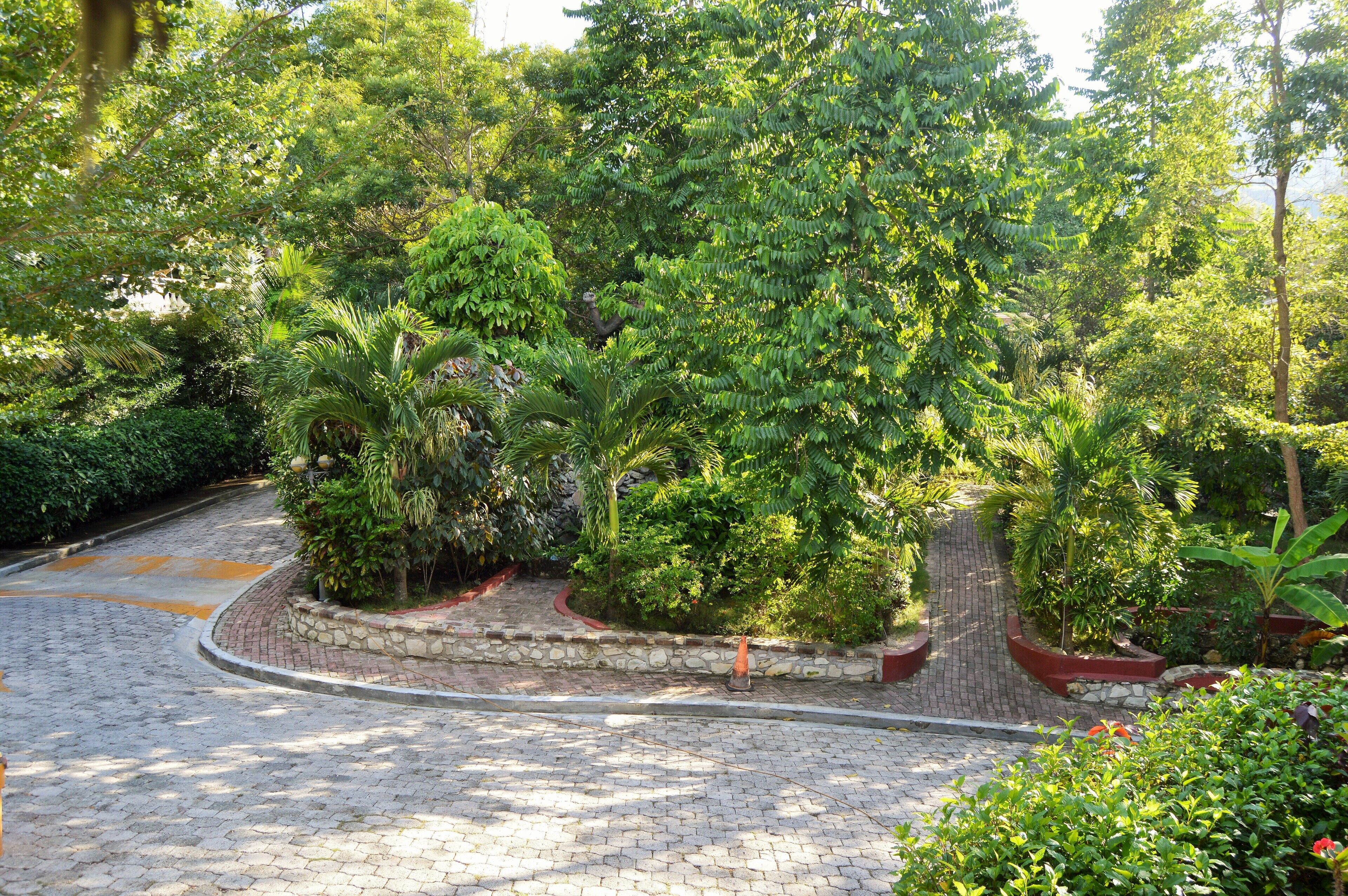 Puutarha