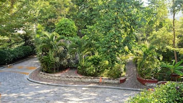 Puutarha
