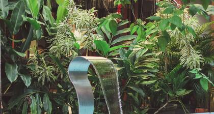 Pousada Coqueiro Do Caita