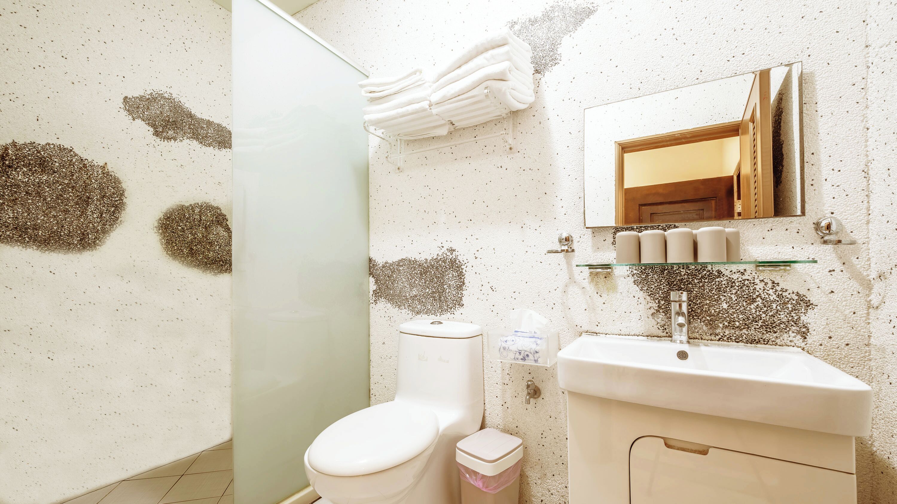 A bathroom with a toilet, sink, and a glass shelf with toiletries.