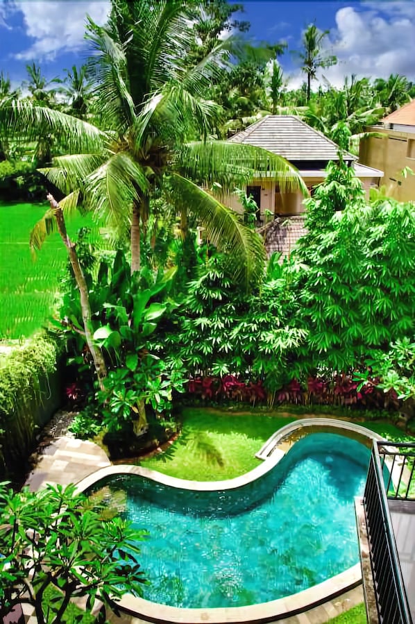 2 kolam renang outdoor dan sebuah kolam alami, dengan kursi berjemur