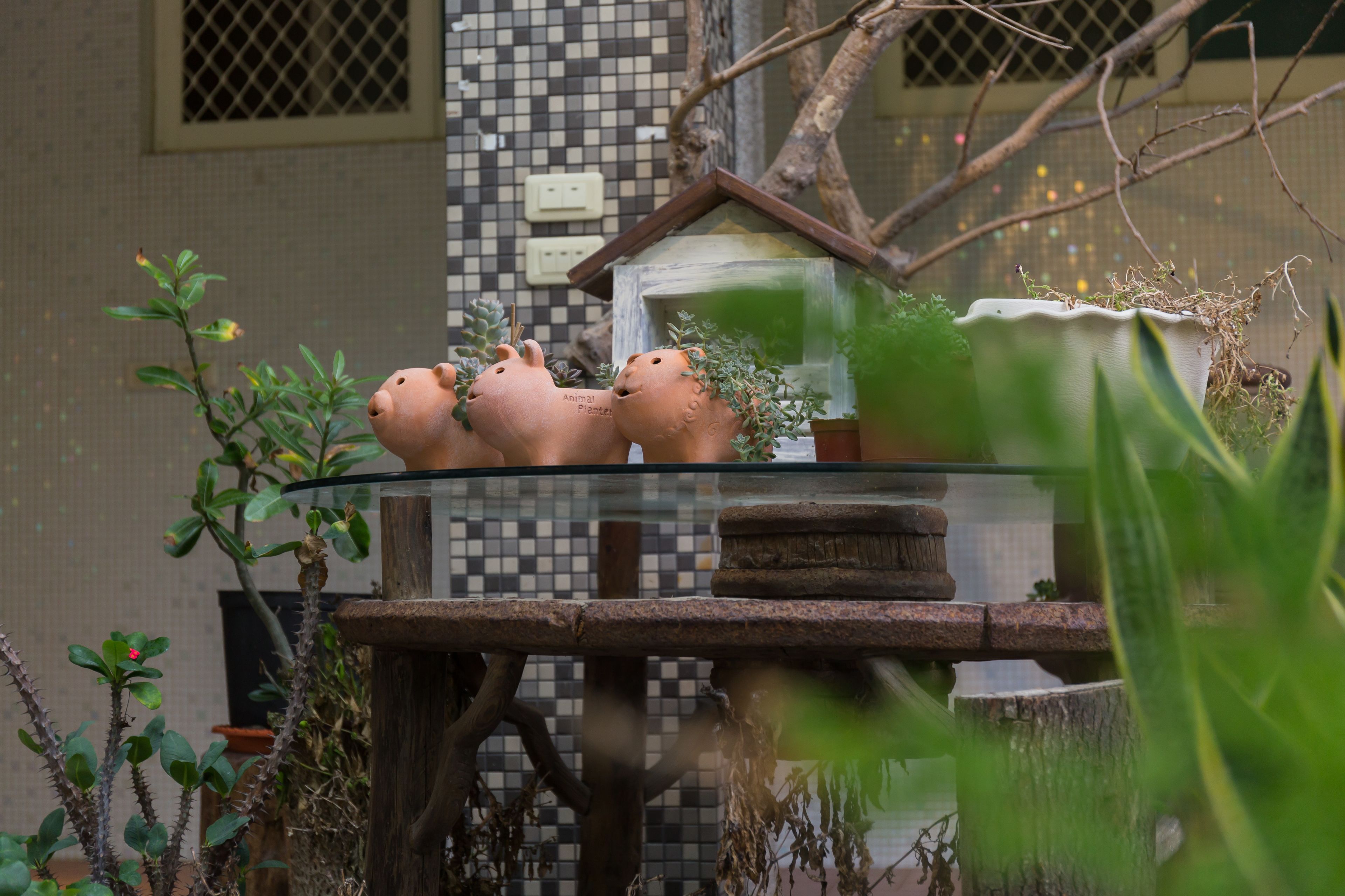 Terracotta animal planters on a glass table with a tiled wall and a small house-like structure in the background.