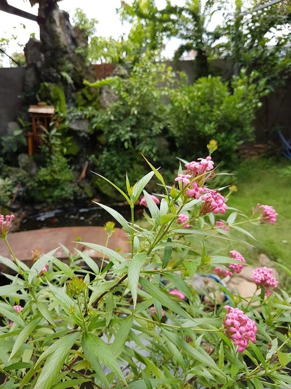 Garden - Hana Resort & Bungalow (Phu Quoc)