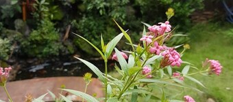 Hana Resort & Bungalow