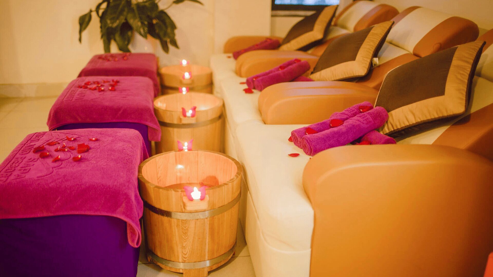 Body treatments, body wraps, body scrubs