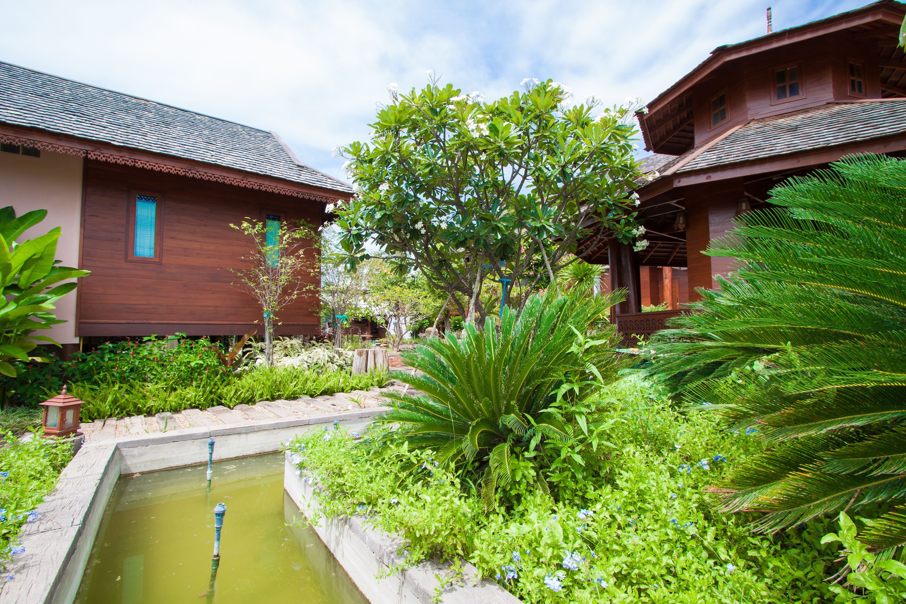 A traditional wooden house with a small pond and lush greenery.