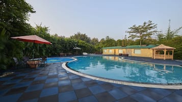 Outdoor pool, sun loungers