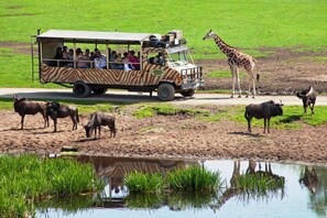A safari vehicle with passengers observing wildlife, including a giraffe and several antelopes, near a water body. - Gästehaus Südheide (Hambuehren)