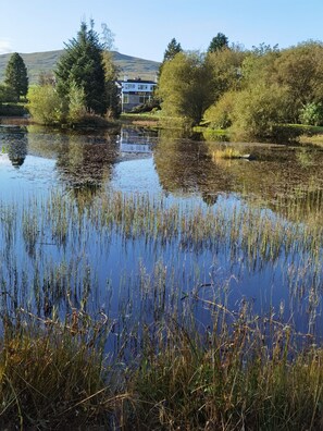 A serene lakeside setting with a building labeled "Y GILER ARM" in the background. - Y Giler Arms (Betws-Y-Coed)