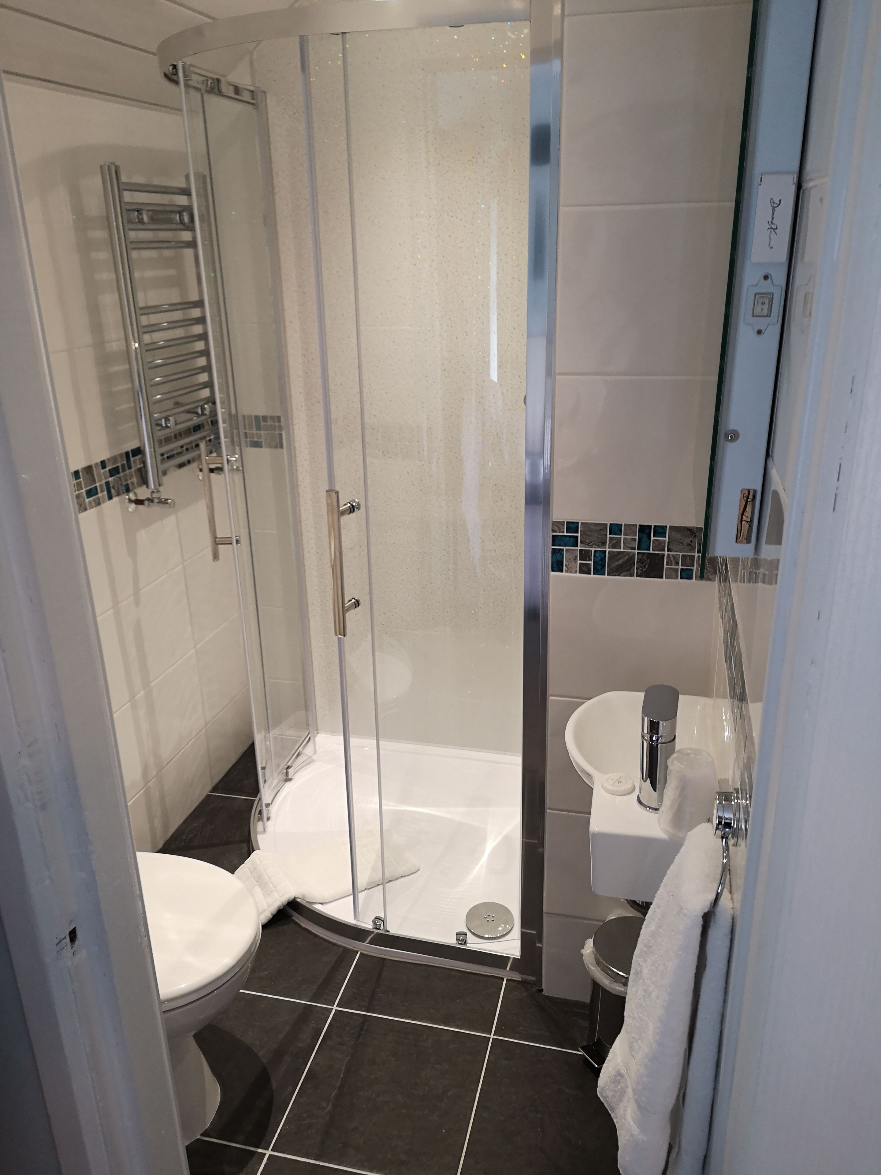 A modern bathroom with a glass-enclosed shower, a white toilet, and a sink with a mirror.