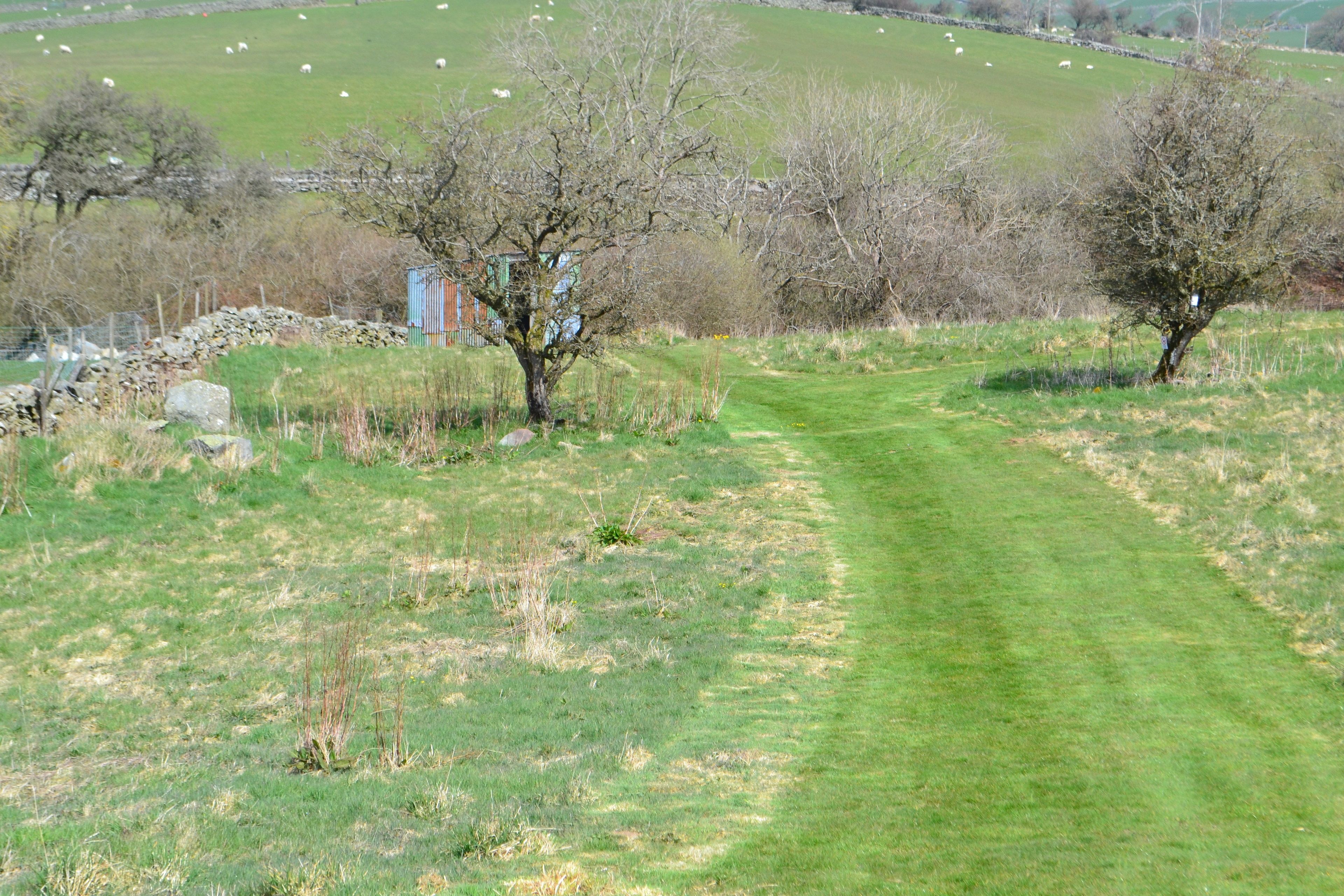 A rural landscape with a grassy path, trees, and a stone wall.