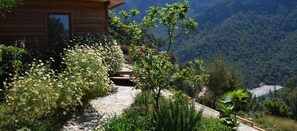 Property grounds - Kabak Avalon (Fethiye)