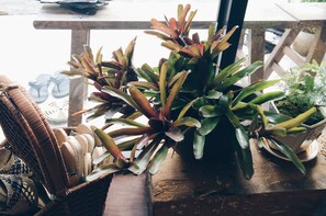 A wooden table with a potted plant, a wicker basket with bread, and a pair of flip-flops. - Altrove House - Hostel (Hengchun)