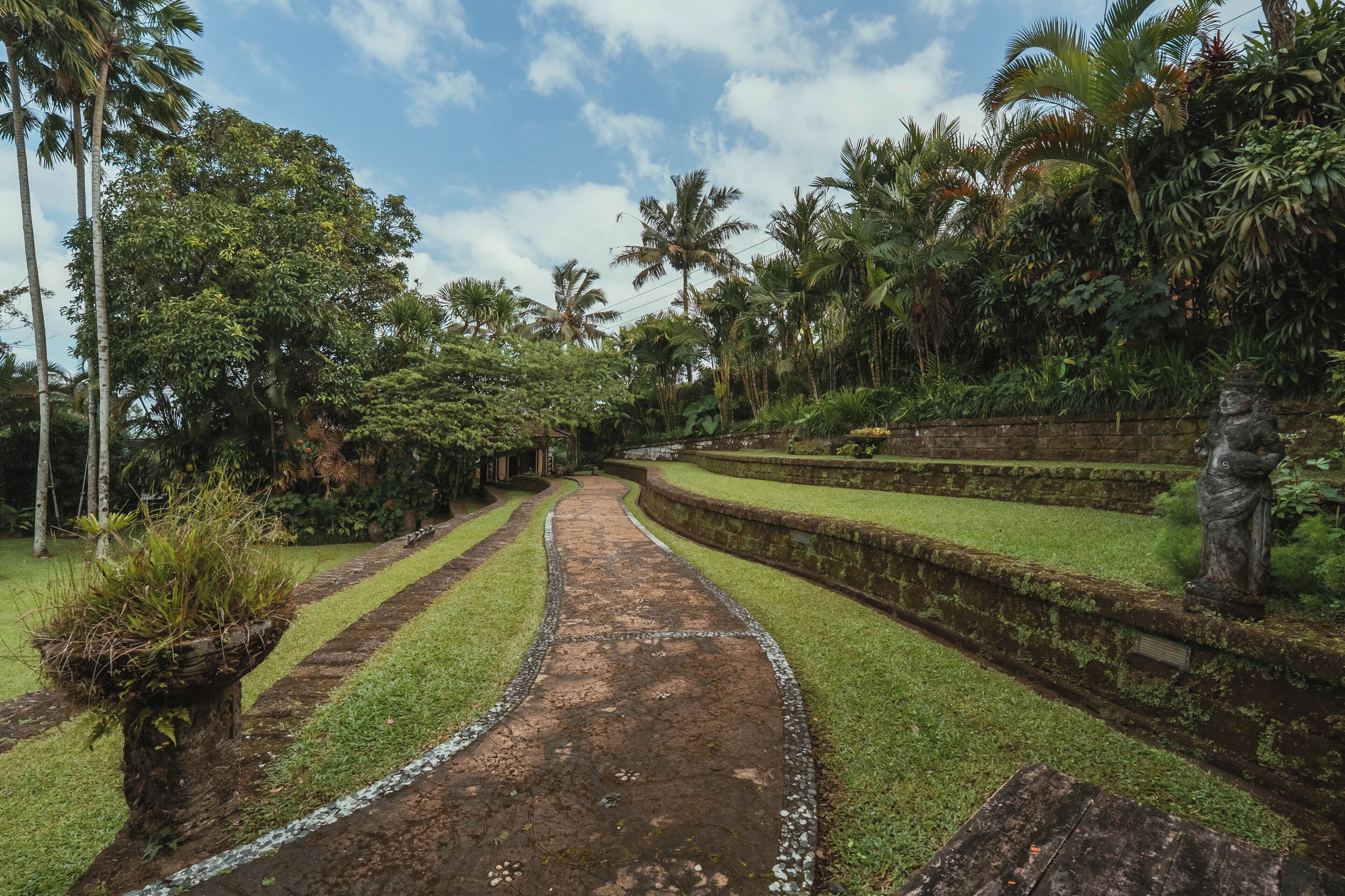 Un sendero atraviesa un jardín con palmeras y una estatua.