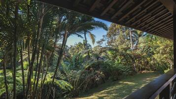 Un jardín exuberante con palmeras y helechos, una terraza de madera y un cielo despejado.