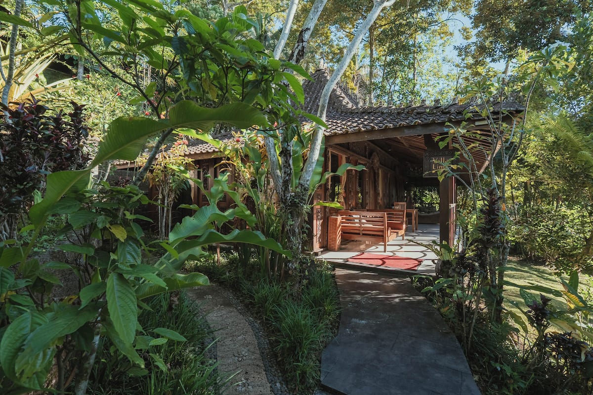 豪華套房 (Rain Forest View) | 埃及棉床單、高級寢具、舒適加層、迷你吧