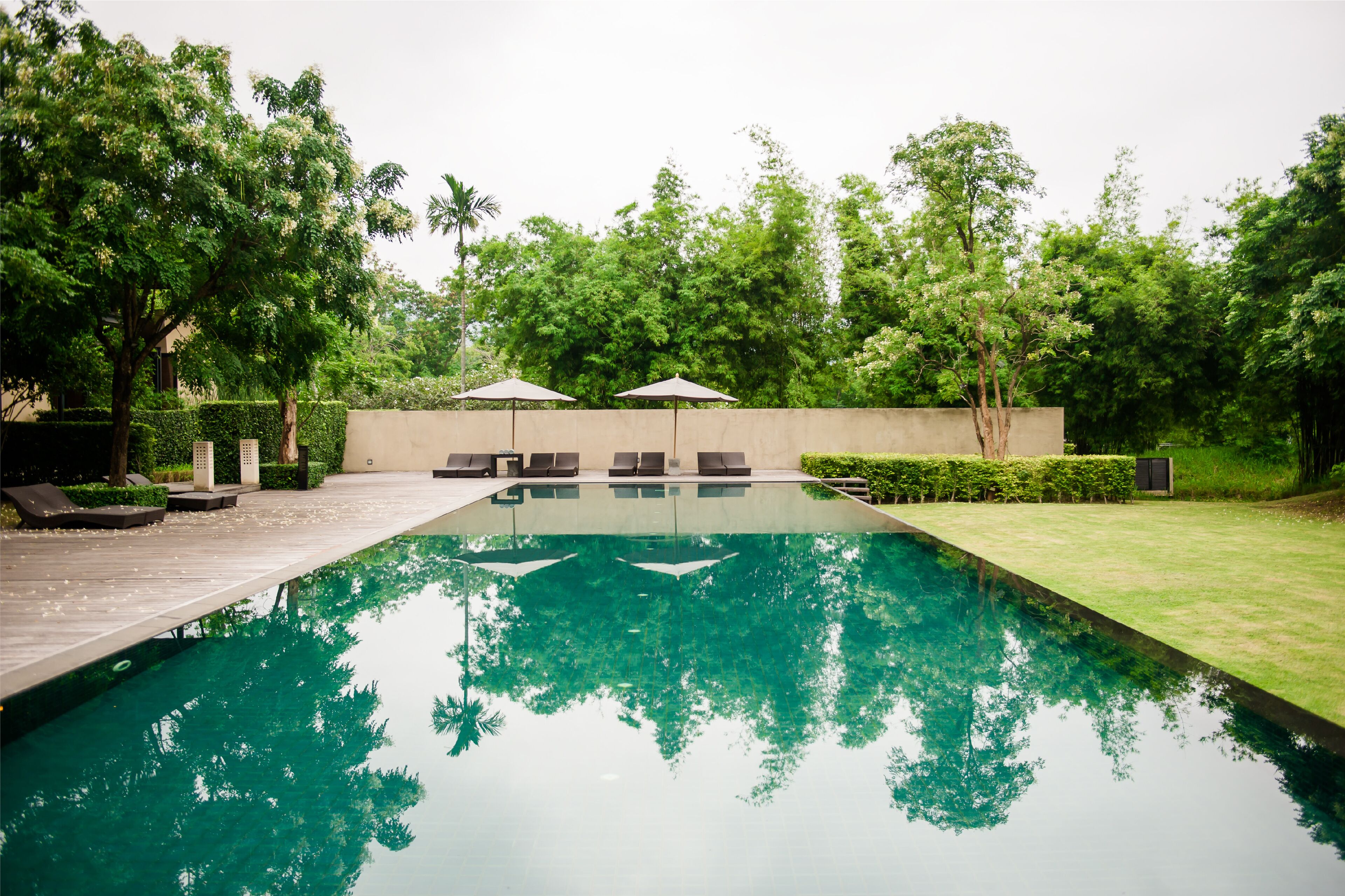 A rectangular swimming pool with a wooden deck and lounge chairs, surrounded by greenery and a low wall.