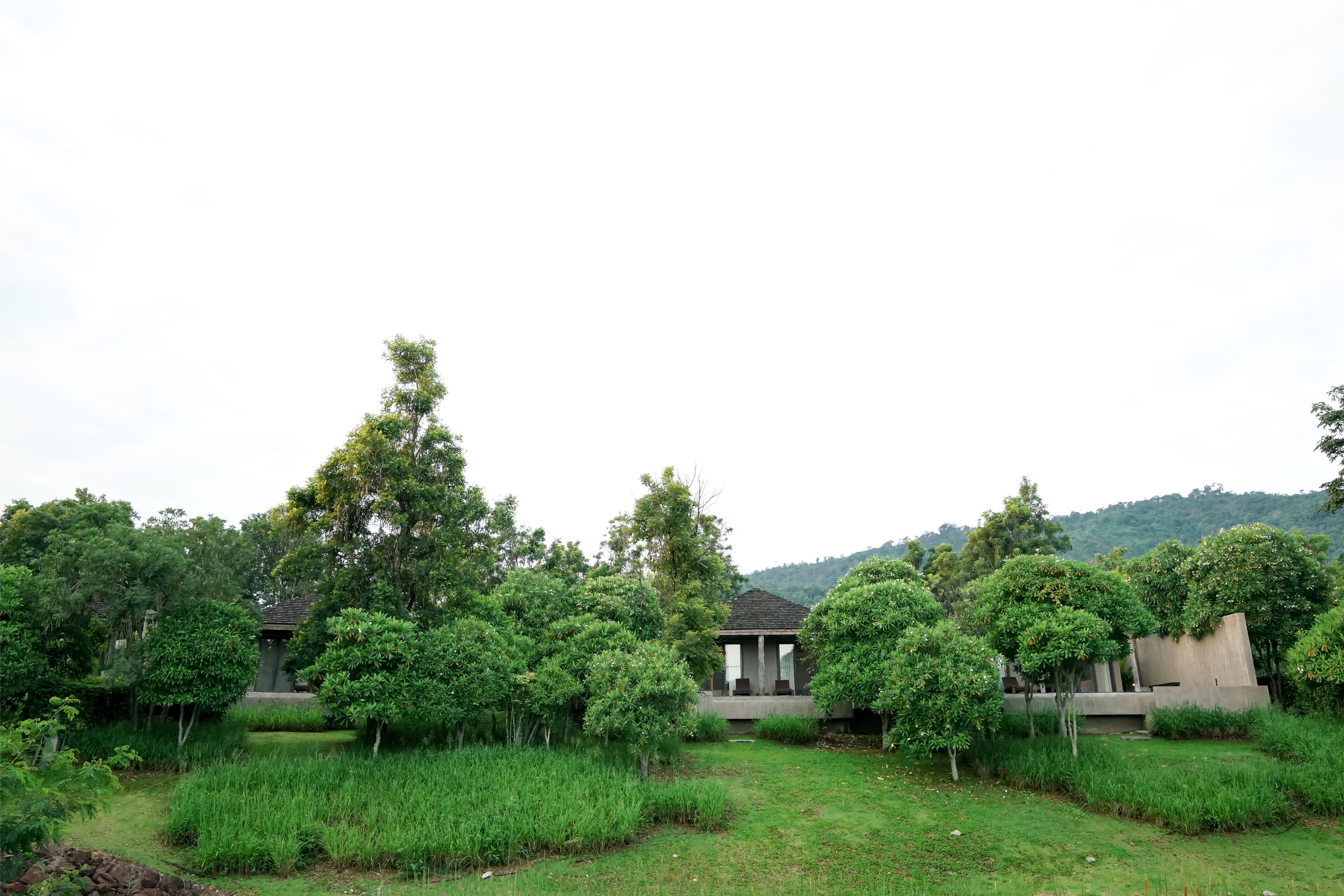 A serene garden with a small pavilion, surrounded by lush greenery and hills in the background.
