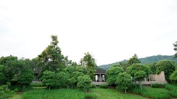 A serene garden with a small pavilion, surrounded by lush greenery and hills in the background.